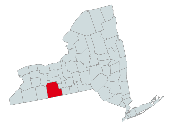 Map of New York Counties Highlighting Steuben