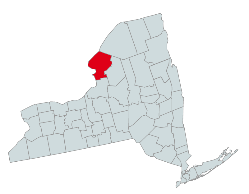 Map of New York Counties Highlighting Suffolk