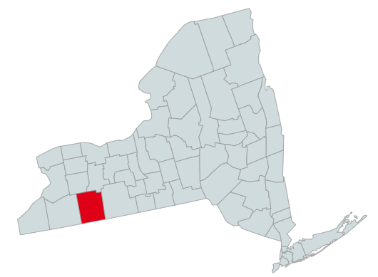 Map of New York Counties Highlighting Allegany